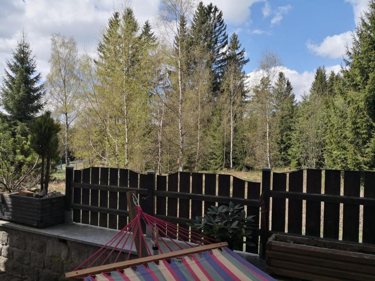 Apartament Erzgruen - Aktiv Und Entspannt Im Gruenen Zwönitz Zewnętrze zdjęcie